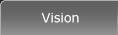 Vision