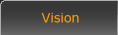 Vision